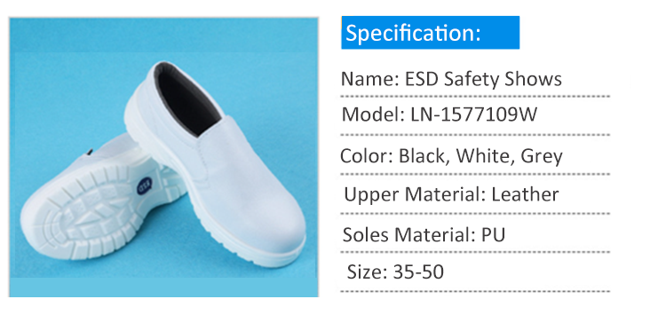 7501W ESD Safety Shoes (2)