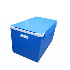 PP corrugated sheet and box_3